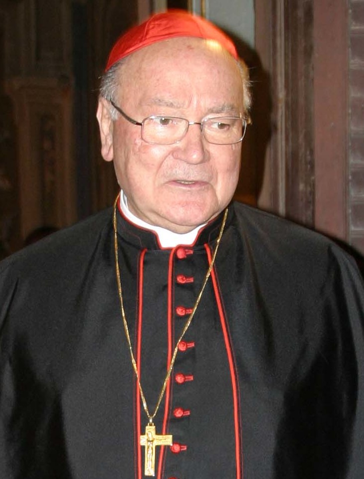 Cardinal Renato Raffaele Martino