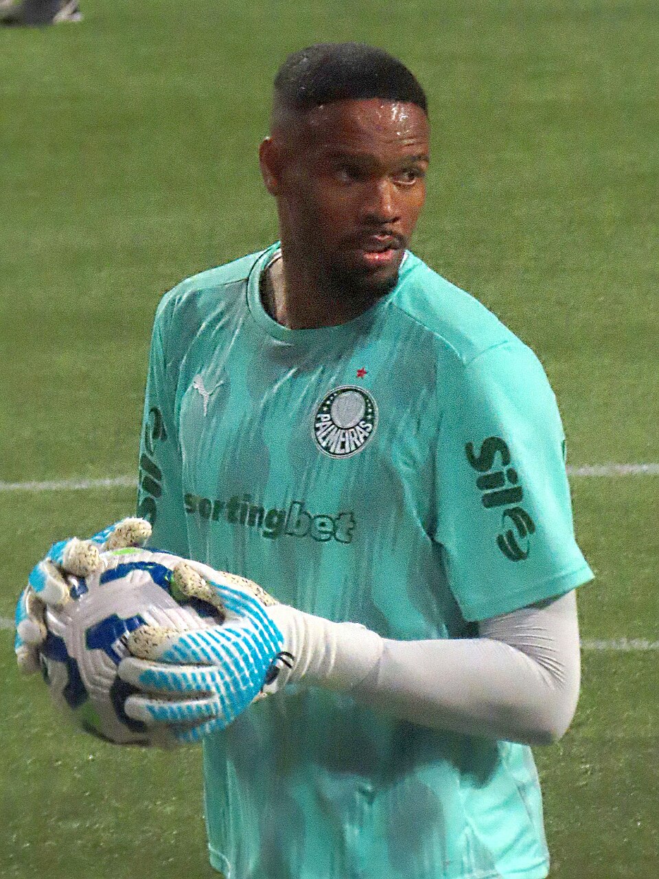 Carlos Miguel Pereira