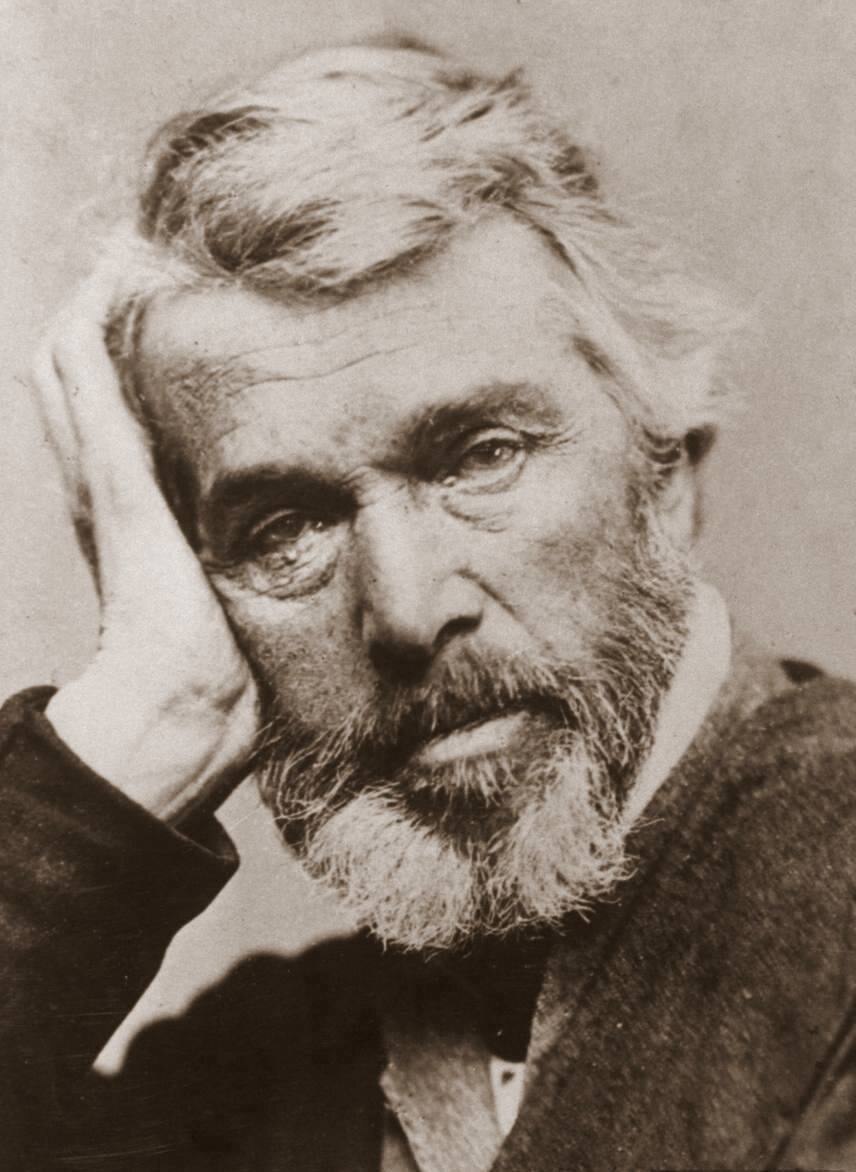 Carlyle Bayly