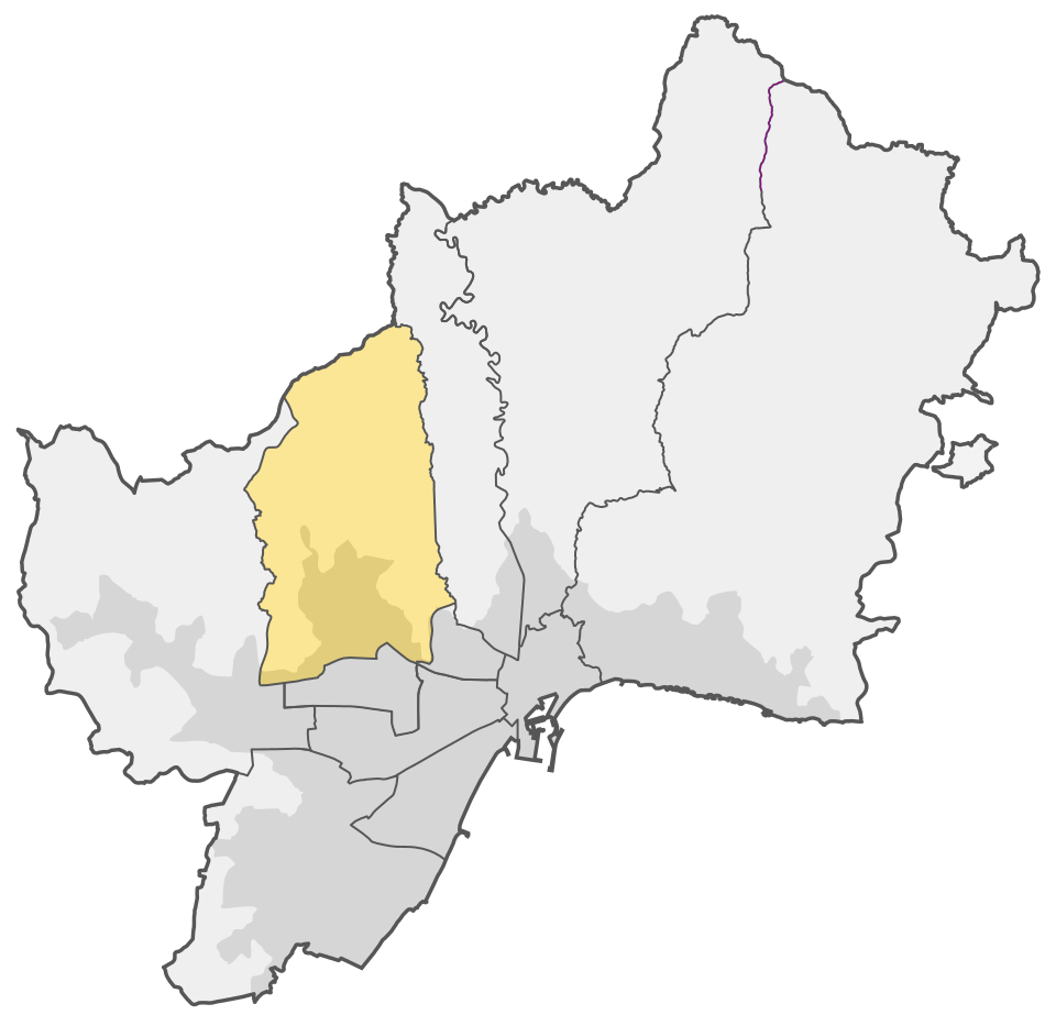 Carmen Morillas