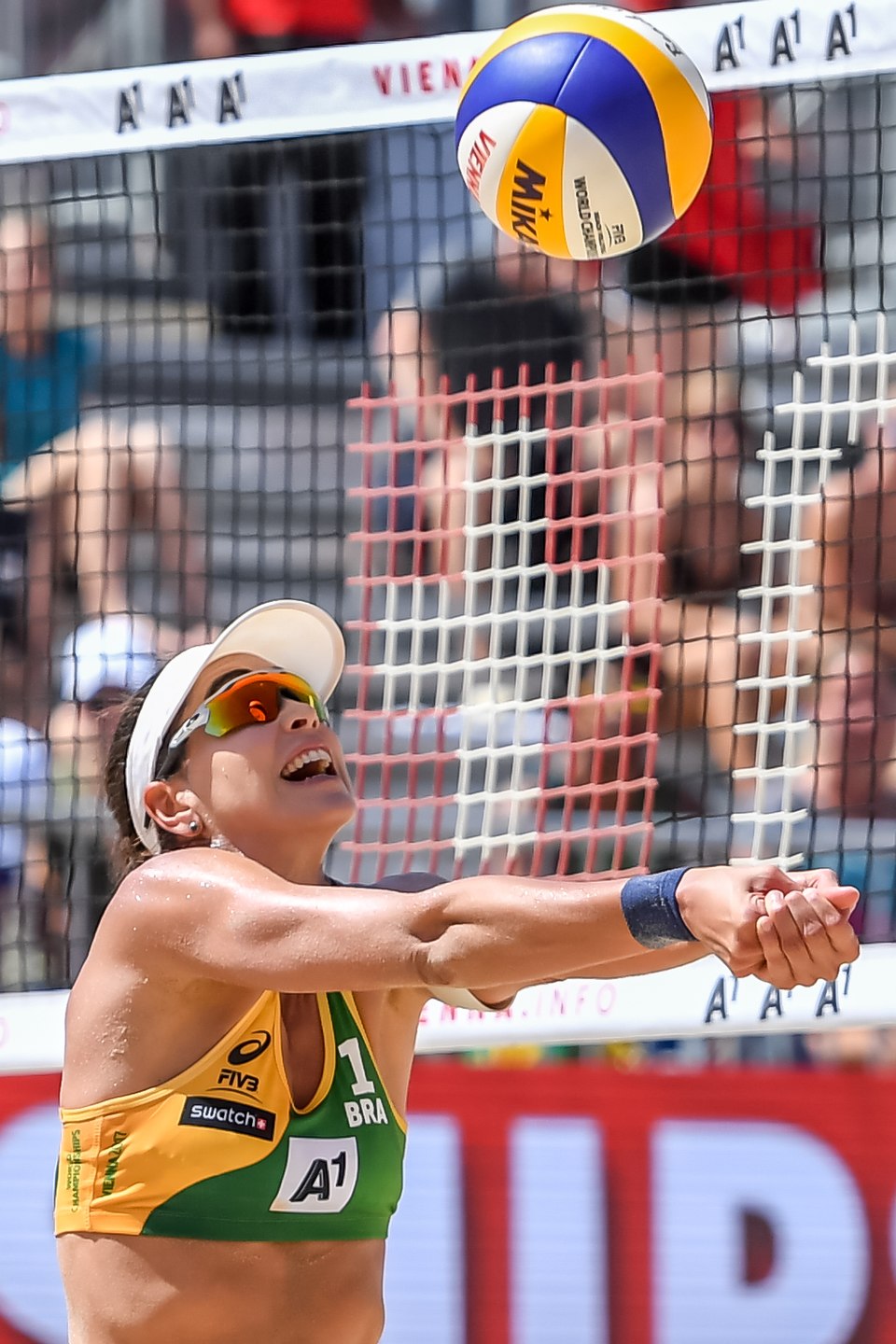 Carol Solberg
