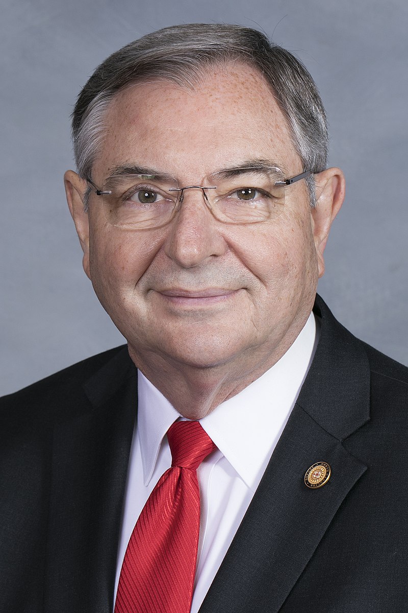 Carolina Burgin
