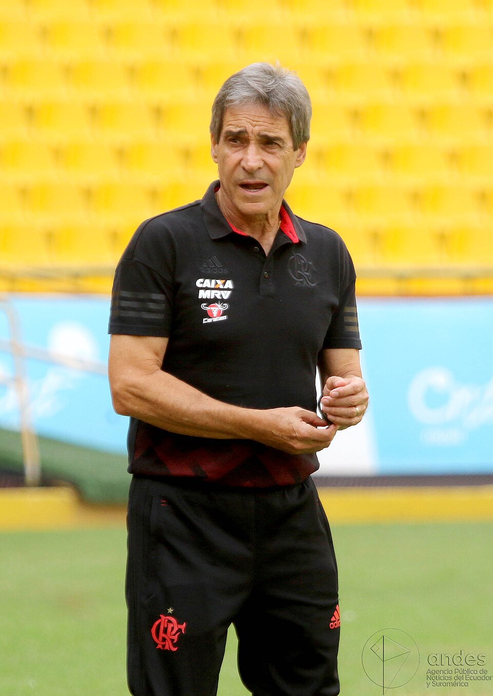 Carpegiani