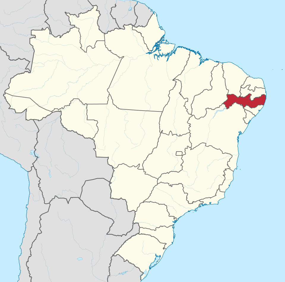 Catarina Rôlo Salgueiro