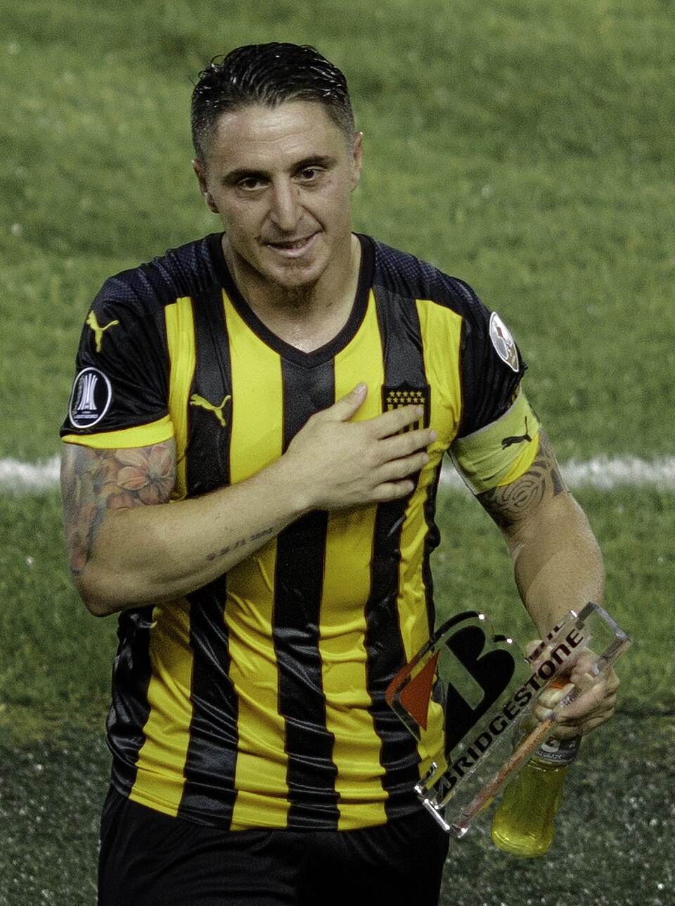 Cebolla Rodríguez