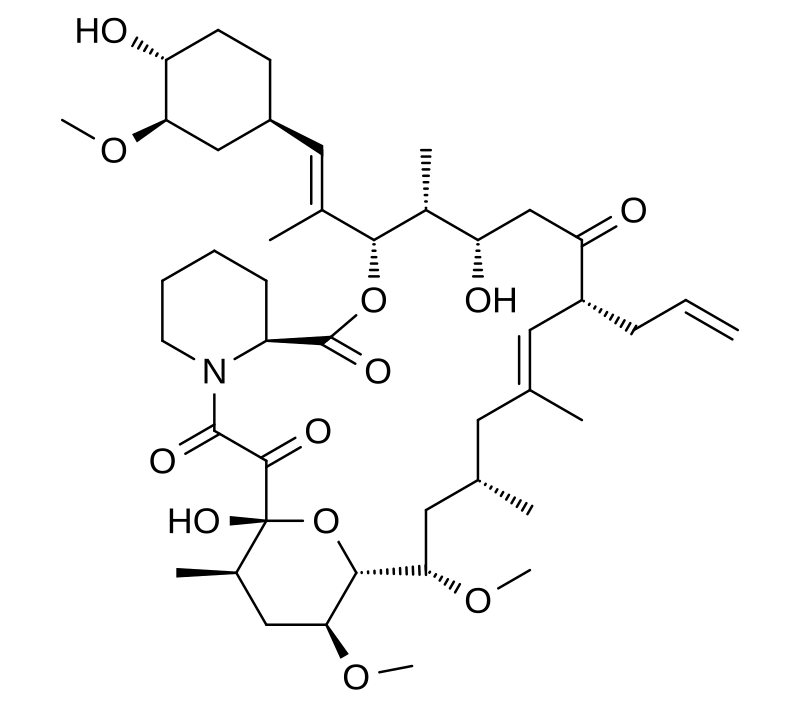 Ceccacci
