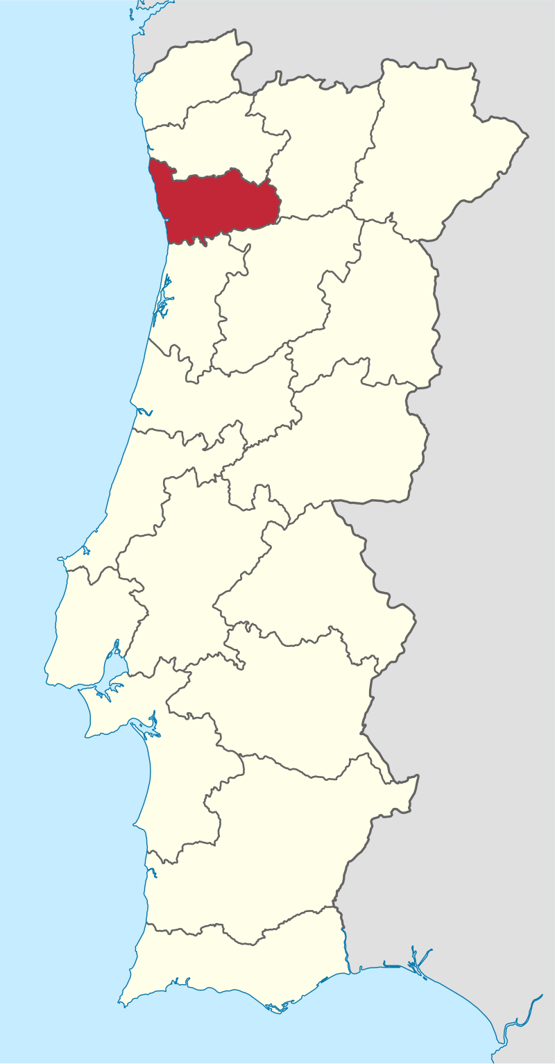 Cecília Montalvão Queiroz