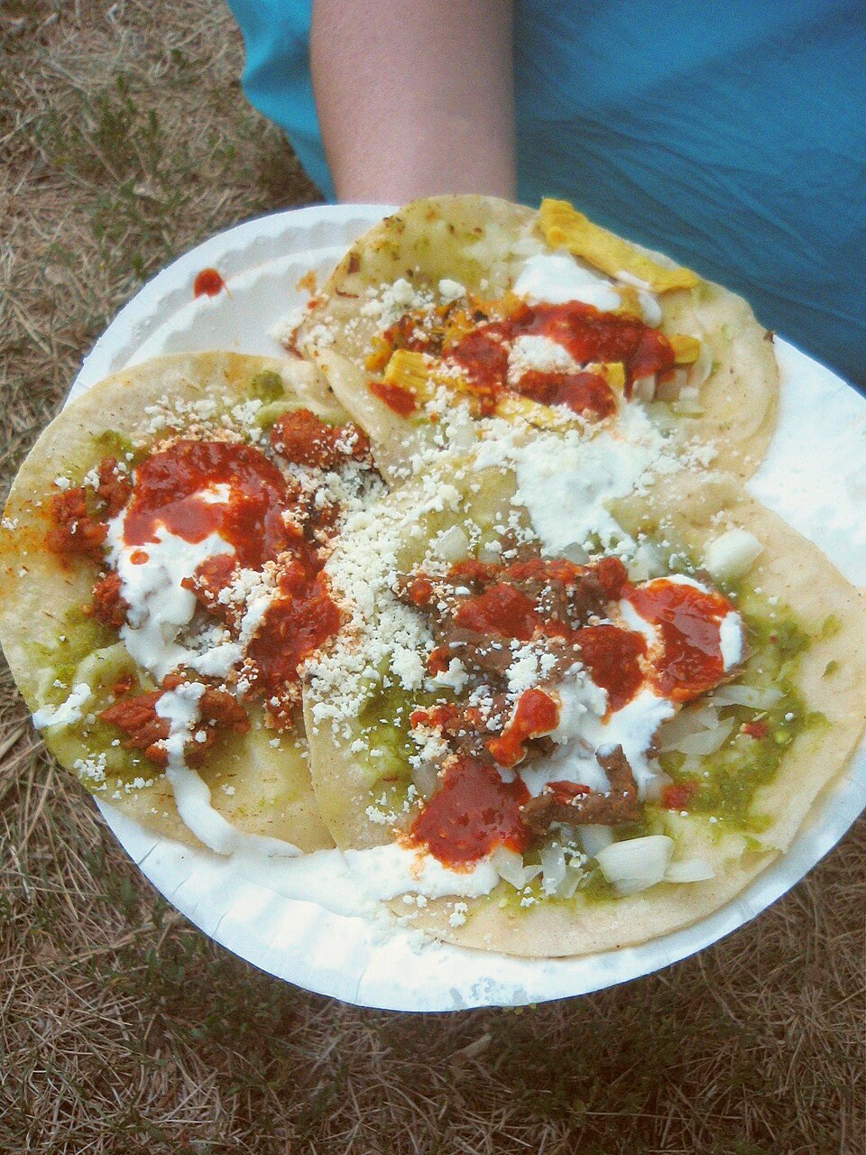 Chalupa