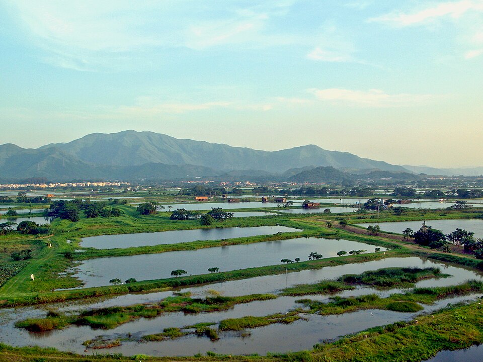 Chau Yuen Tak