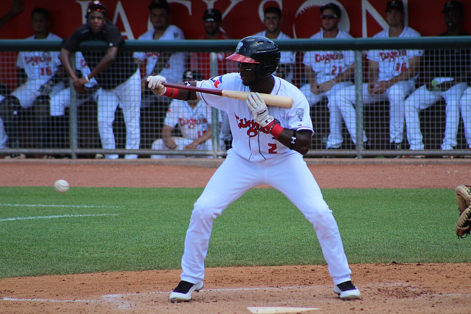 Chavez Young
