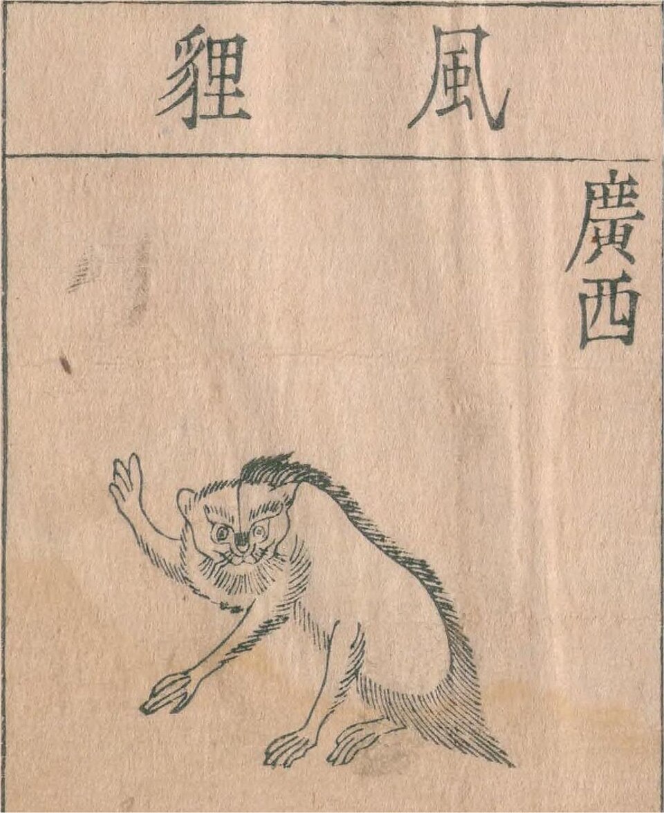Chen Fengli