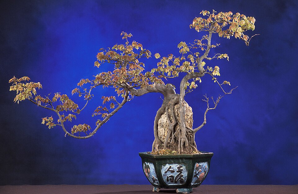 Chen Lifang