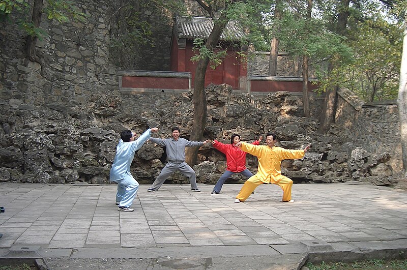 Chen Shanzhi