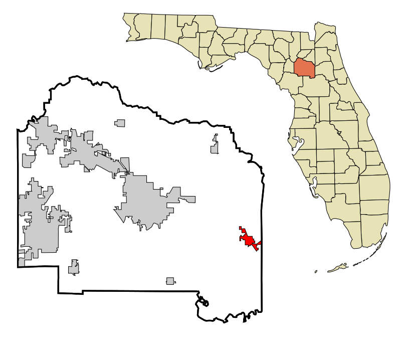 Chester Shell