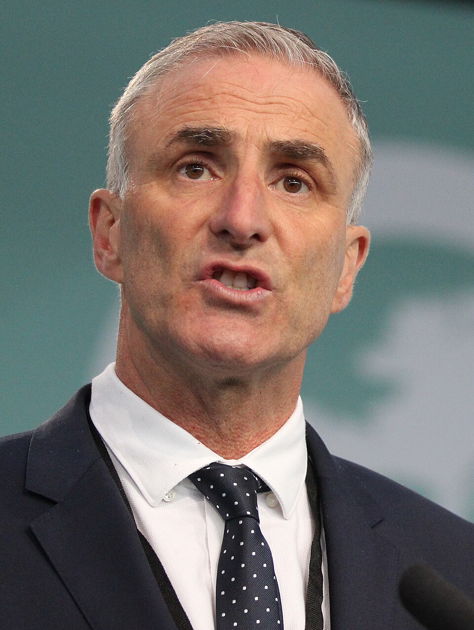 Chris Andrews