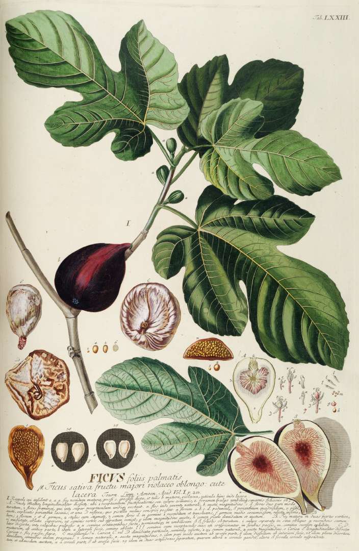Christoph Seiler