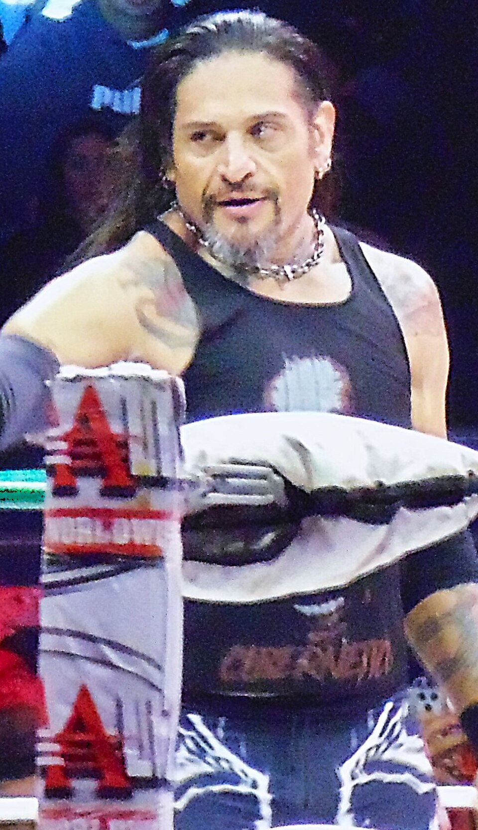 Cibernetico
