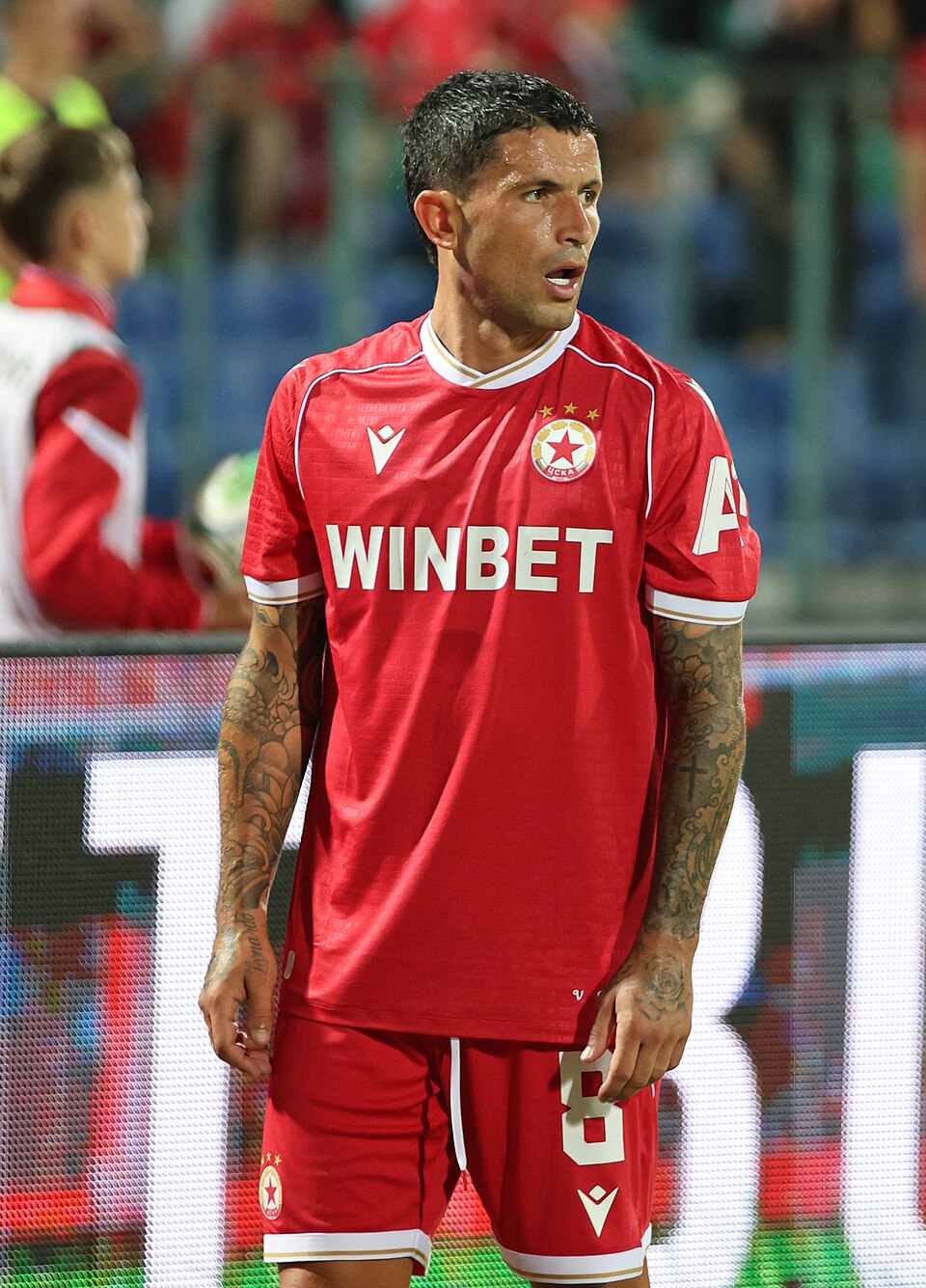 Cicarevic