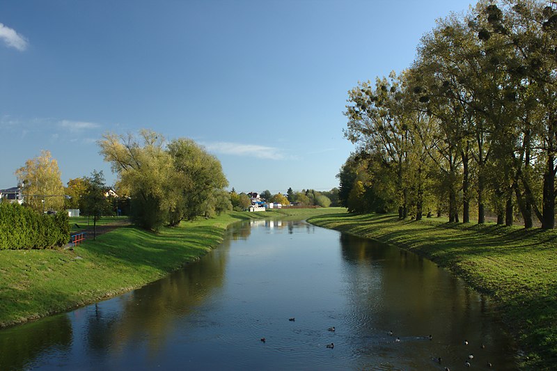 Cizina