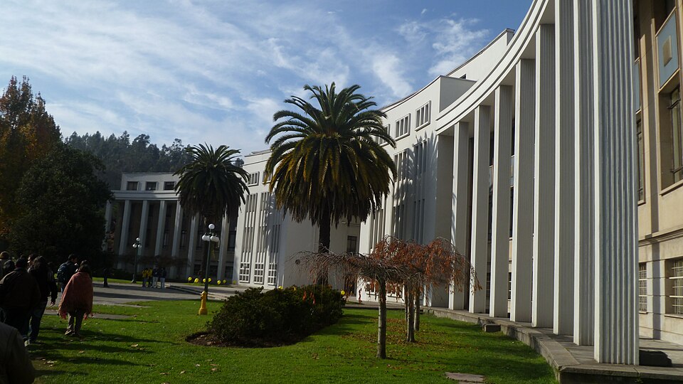 Concepción G.