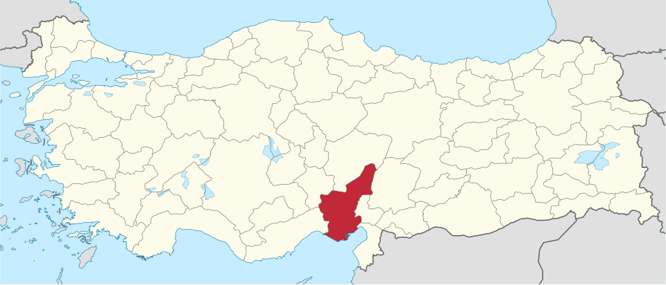 Coşkun Direk