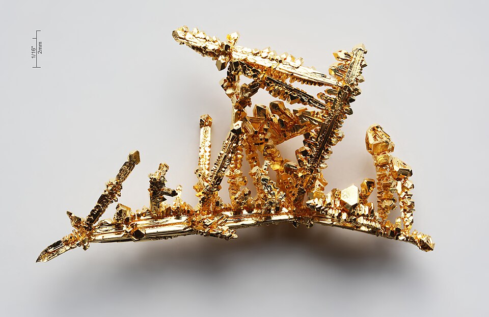 Craig Gold