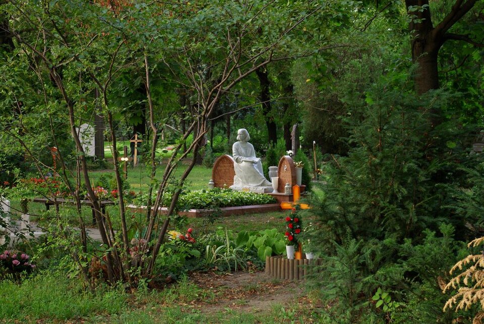 Csernus Gábor