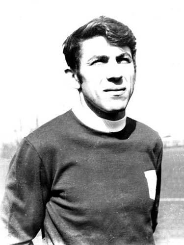Culae Lupescu