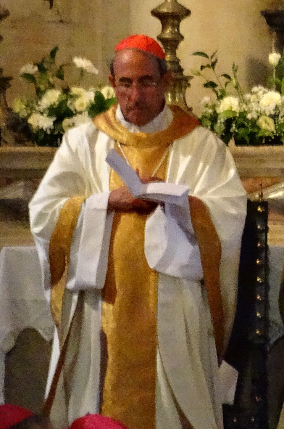 D. António Marto
