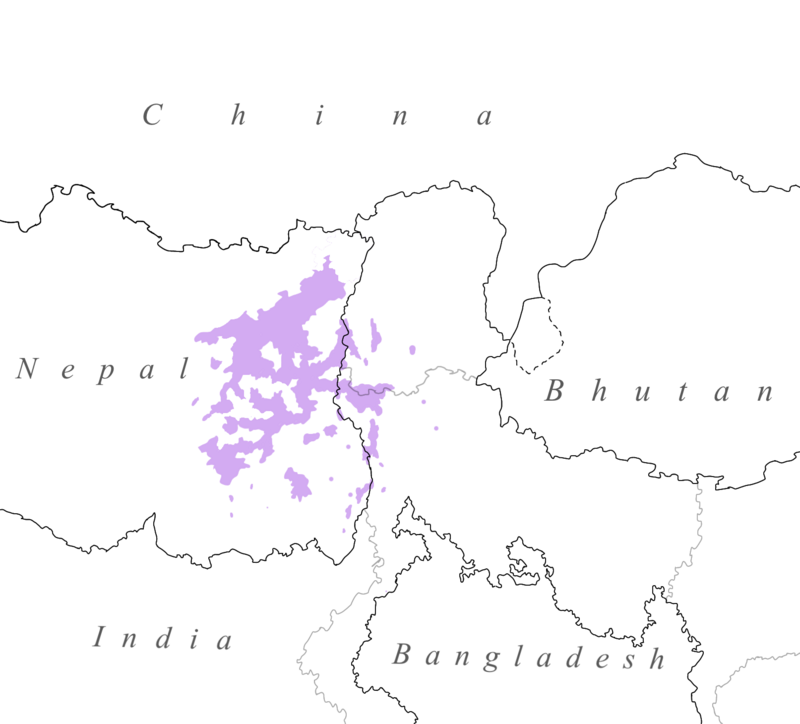 D.B. Limbu