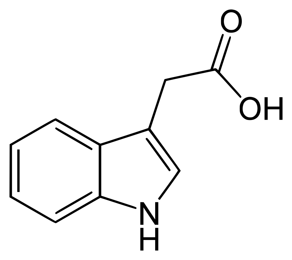 Dai Xinhua