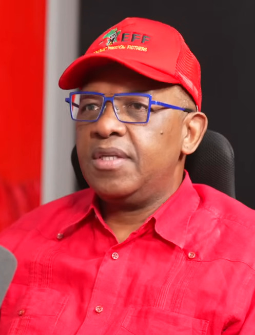 Dali Mpofu