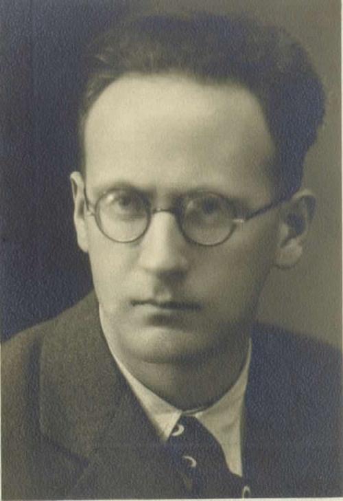 Damir Lipovšek