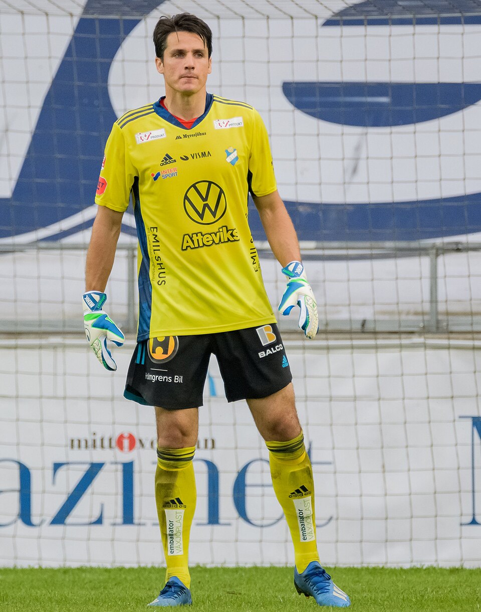 Damir Mehic