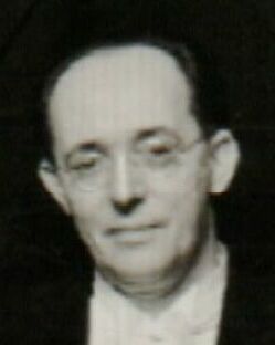 Damir Novak