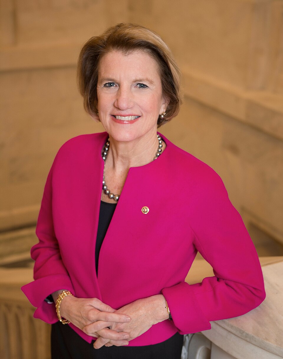 Dana Capito