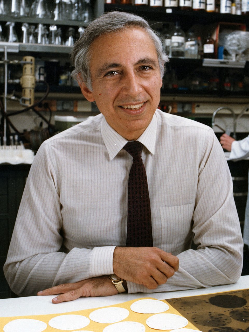 Daniel Gallo