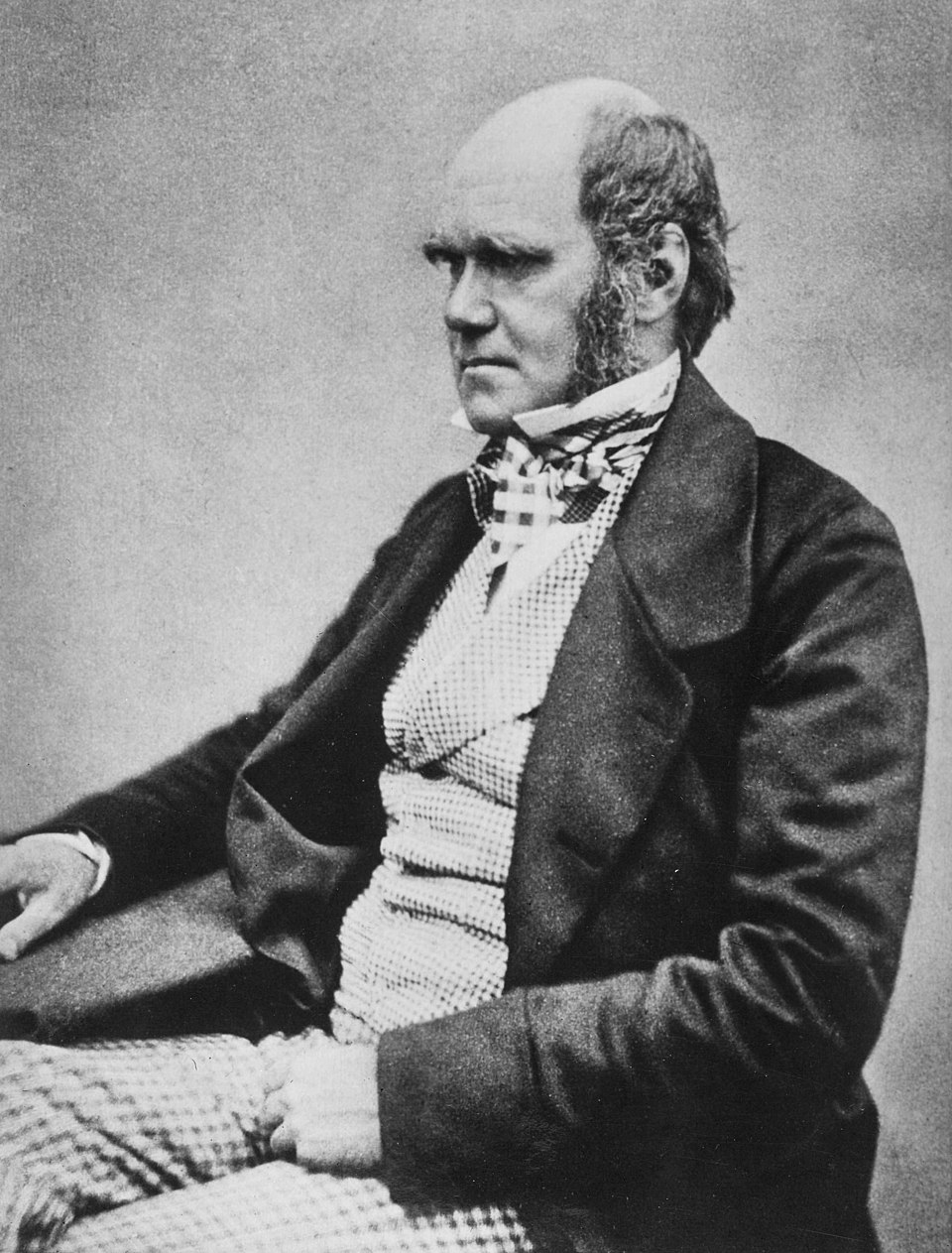 Darwin C.