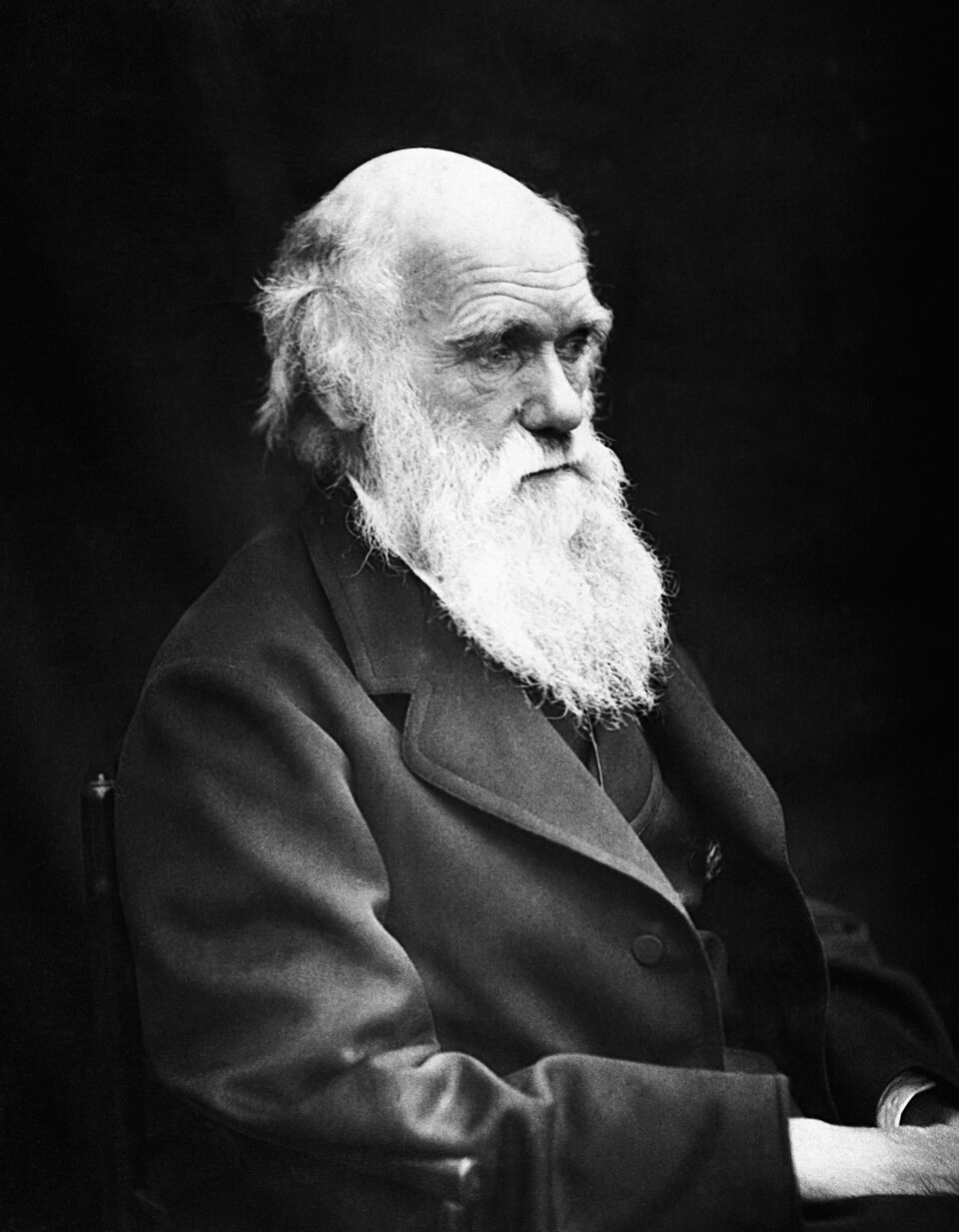 Darwin Félix