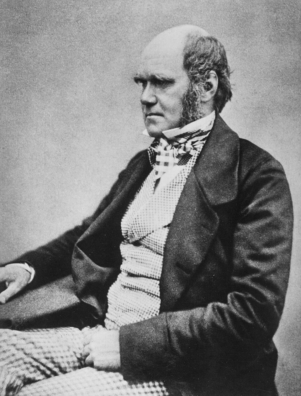 Darwin Lucas