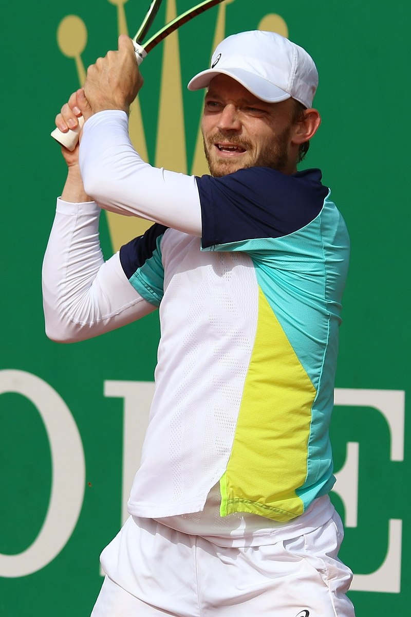 David Goffin