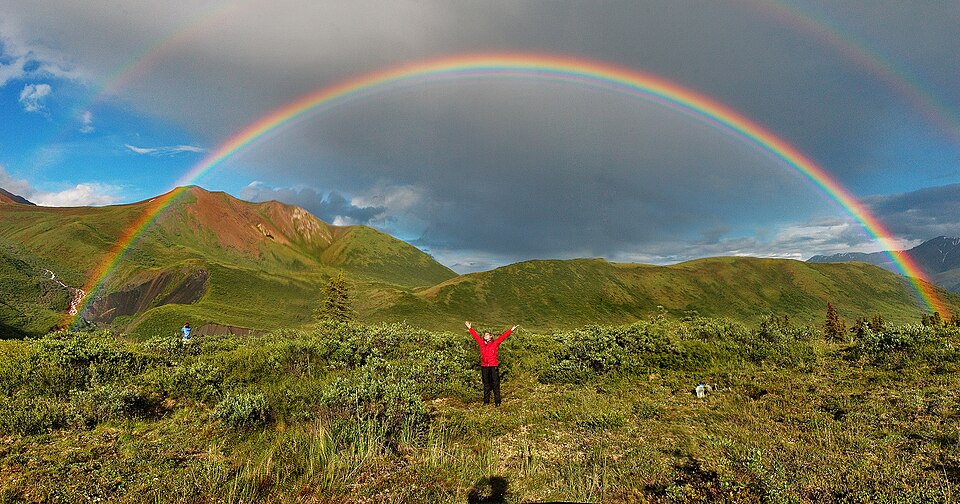 David Rainbow
