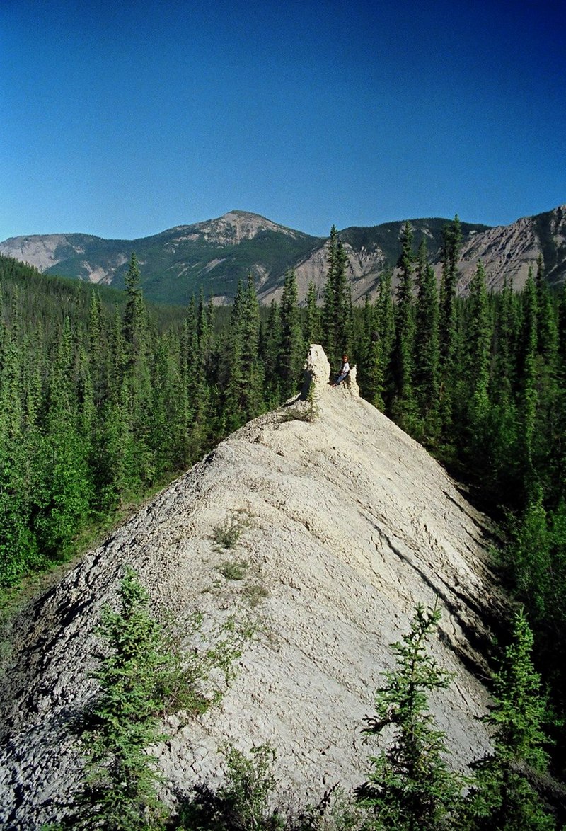 Dāvids Šilters