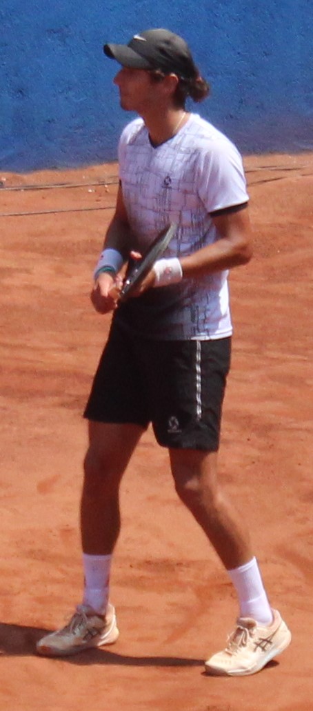 Davis Pino
