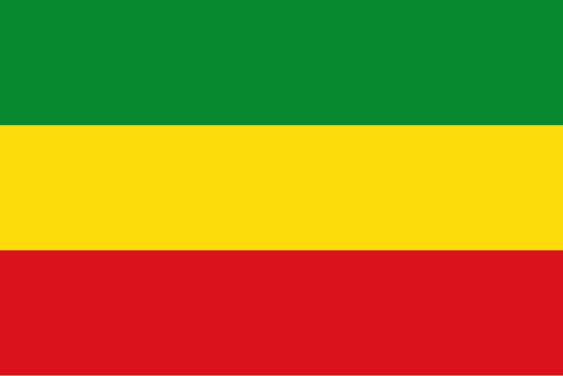 Dawit Gebru