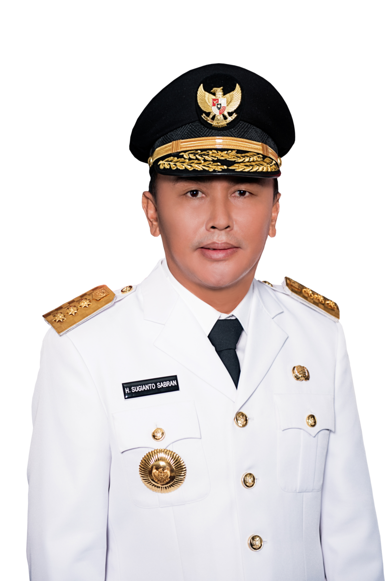 Dedi Sugianto