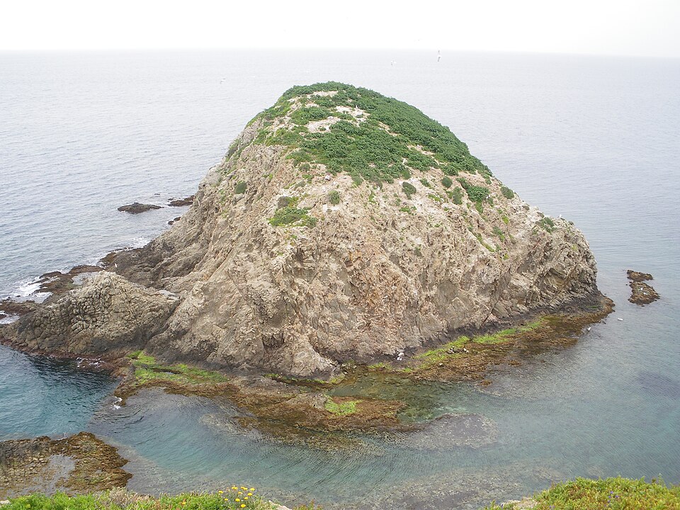 Del Moro