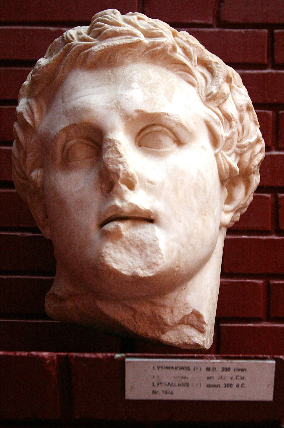Demetrius Minor
