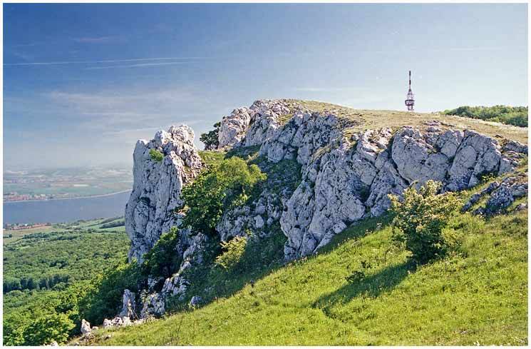 Devin Rocks