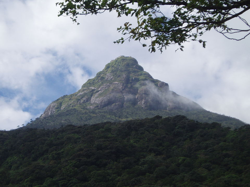 Dharmapala Gammanpila